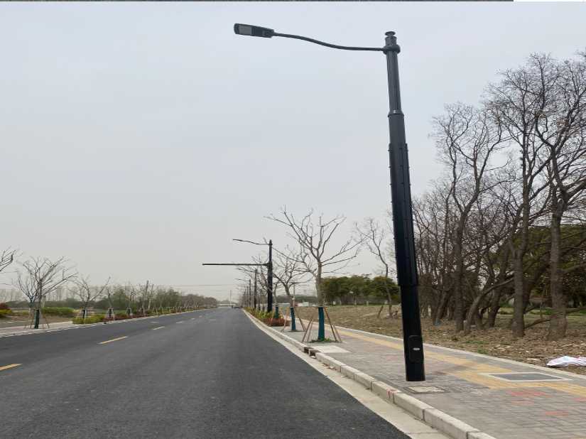 莲都区上海综合杆 太阳能路灯工程